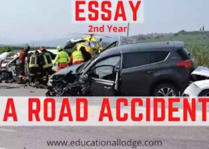 A Road Accident Essay