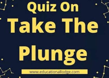 Quiz on Take The Plunge