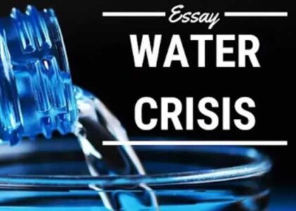 Water Crisis Essay