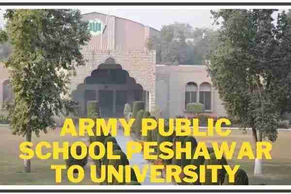 Army Public School Peshawar into a University