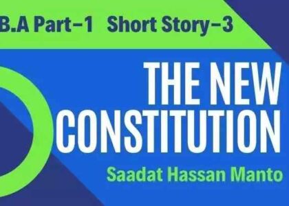 The New Constitution Short Story Literary Analysis