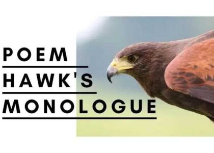 Hawk's Monologue Poem by Ted Hughes